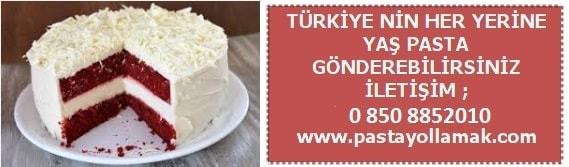 İstanbul yaş pasta gönderin