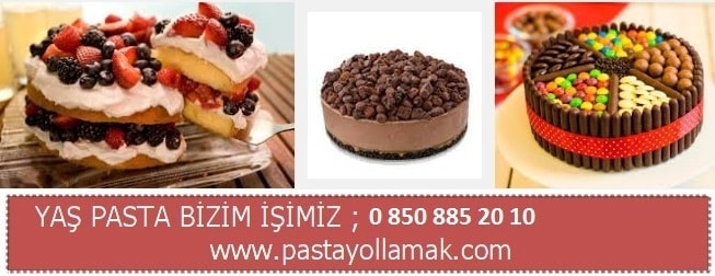 İstanbul yaş pasta gönderimi pasta siparişi